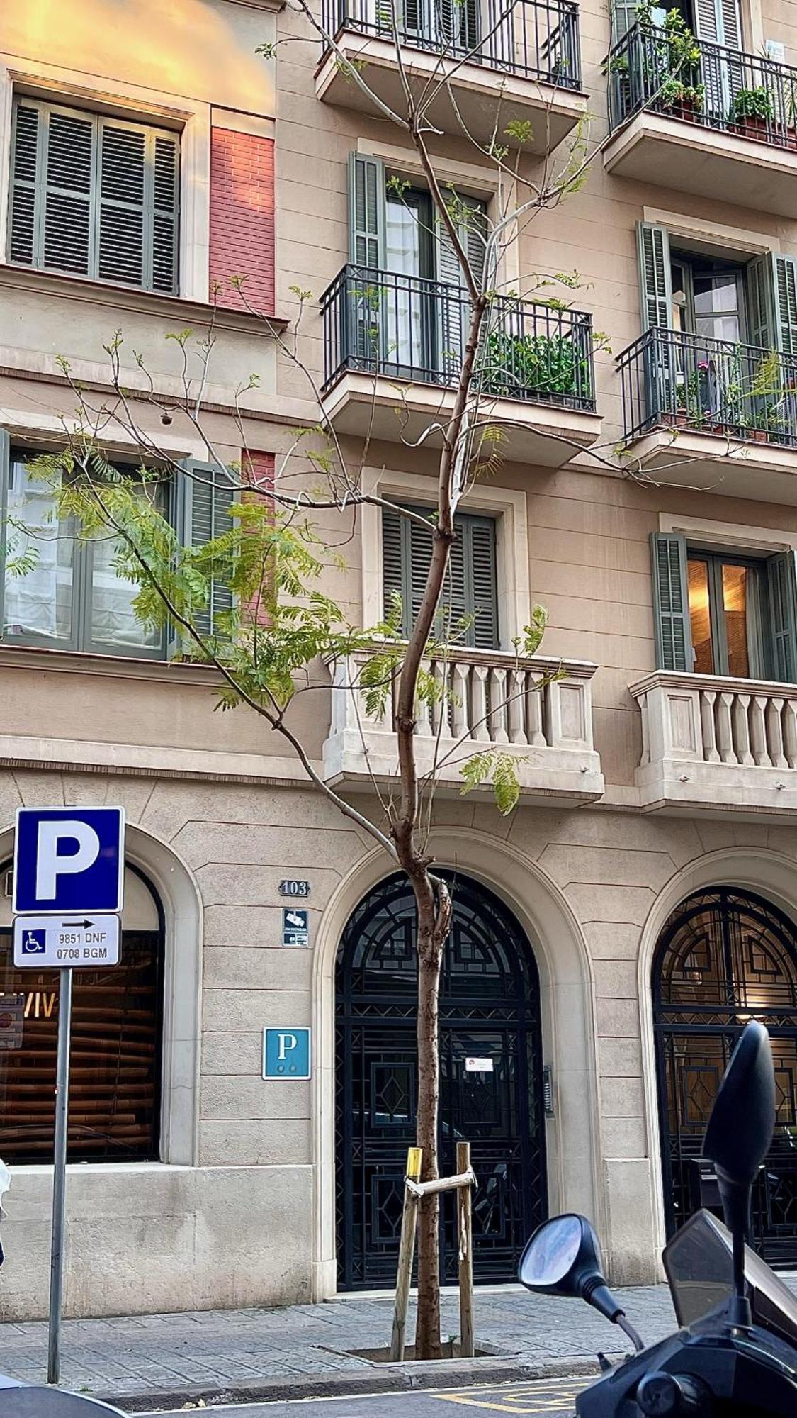 Madrazo 2* Barcellona